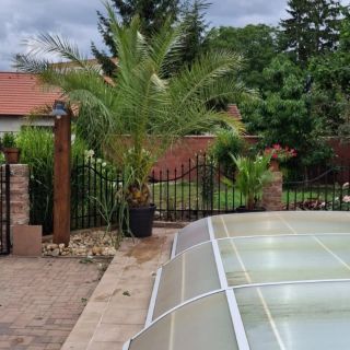 🌴 Takhle vypadá datlovník kanárský (Phoenix canariensis) u jednoho z našich zákazníků. Miluje slunce, skvěle se hodí na...