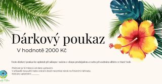 🌴🫒Novinka Dárkové poukazy na palmy, olivovníky a další exotické rostliny. Nejste si jistí, kterou rostlinou udělat radost?...